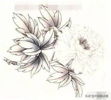 工笔画入门步骤,工笔黄牡丹设色步骤详解