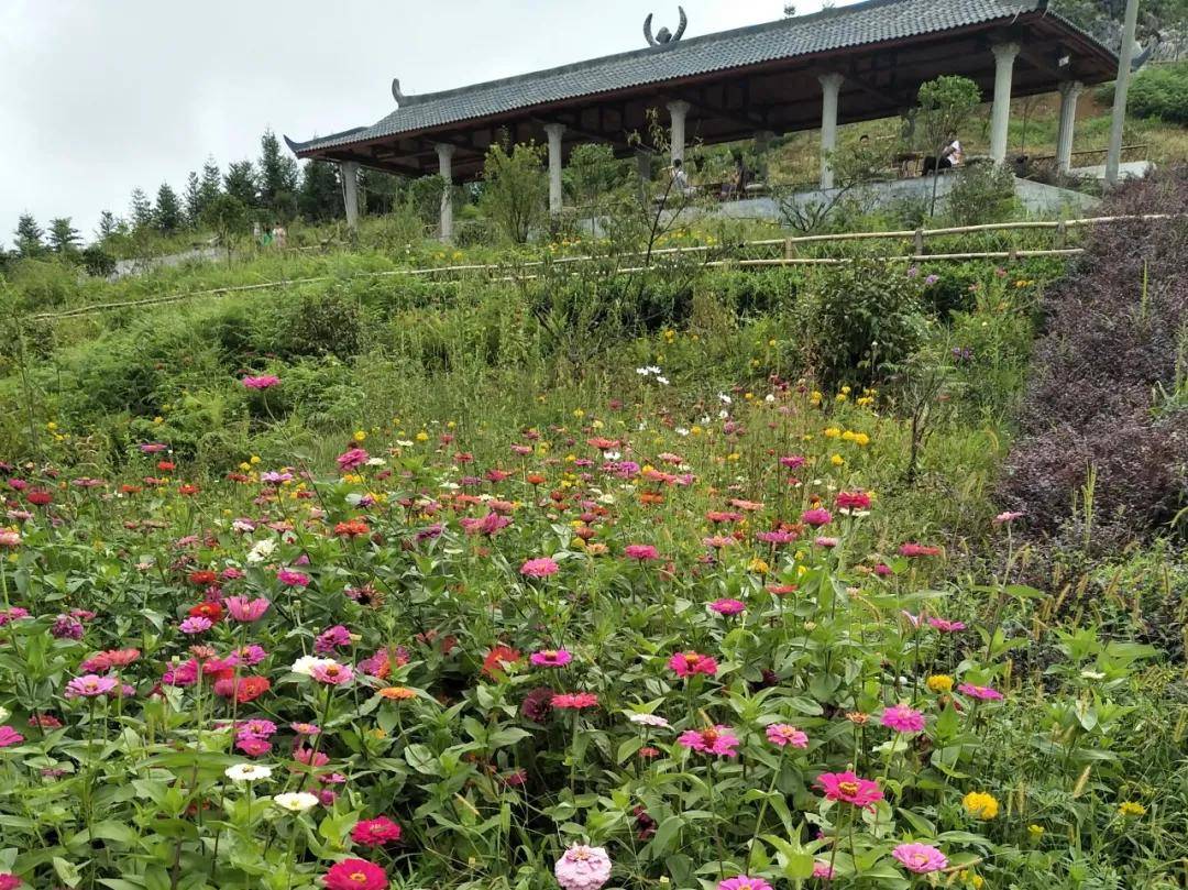 助力天府旅游名县创建，四川兴文又一新名片！