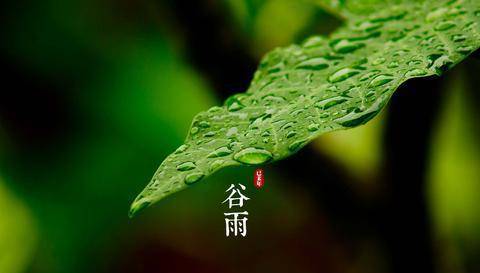 7a27134dedb14a2b8919de697e07120f.jpeg
