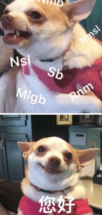 7c6ca3d08f8c42cb8ab5fdd719c66436.png