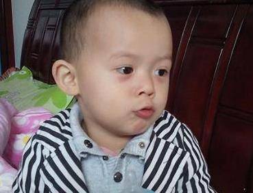 什么是精细喂养 9f732ce415304964b8856759ec354d75.jpeg