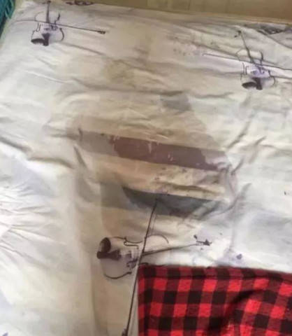 主人花半個月工資，一咬牙買下純種二哈，結果直呼養了個祖宗 萌趣萌寵 第3张