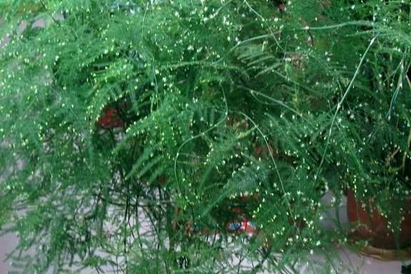 834eab0ba4674ff4ab88398ca0b30021.jpeg
