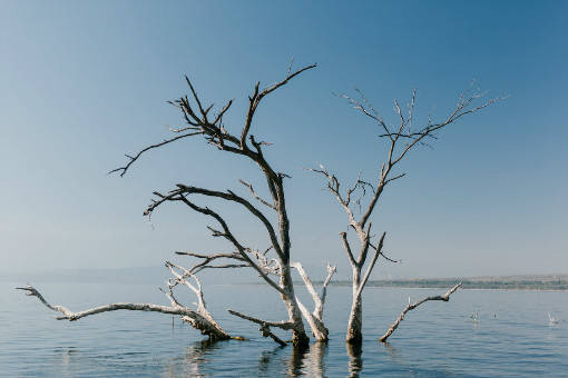 2020gdp30强_中国gdp变化图(3)