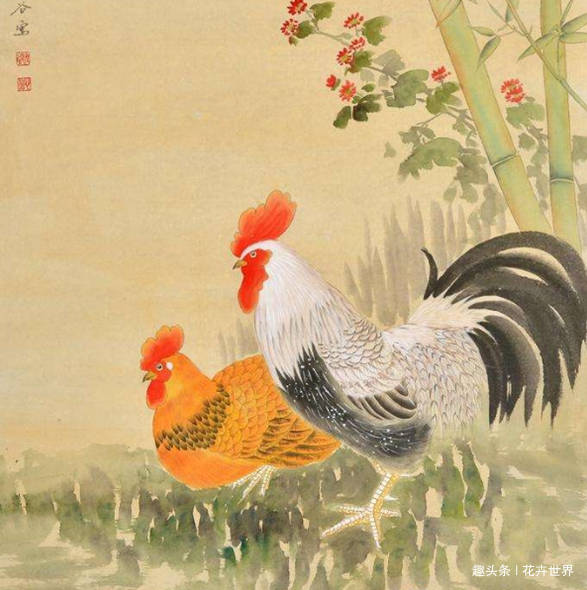 69年属鸡最好微信名,属鸡的幸运植物 属鸡人:69年, 81年,93年的属鸡人,哪个命最好?