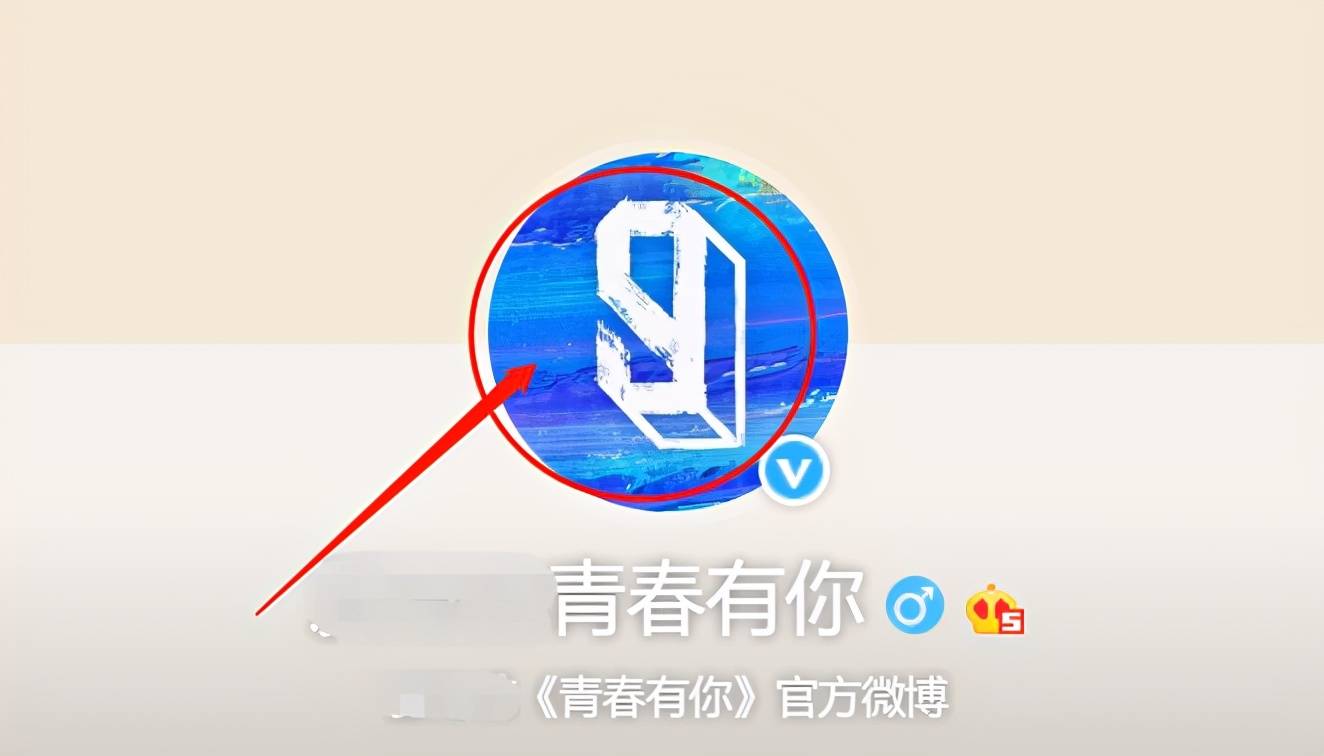 男版《青春有你》将来袭,官方公开换logo,出道人数一目了然