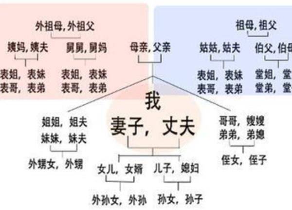 舅氏家族人口_tf家族三代图片(2)