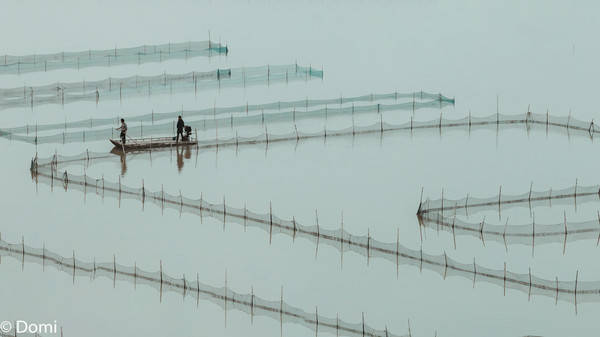 沿浦镇gdp_杏坛镇gdp数据图(2)