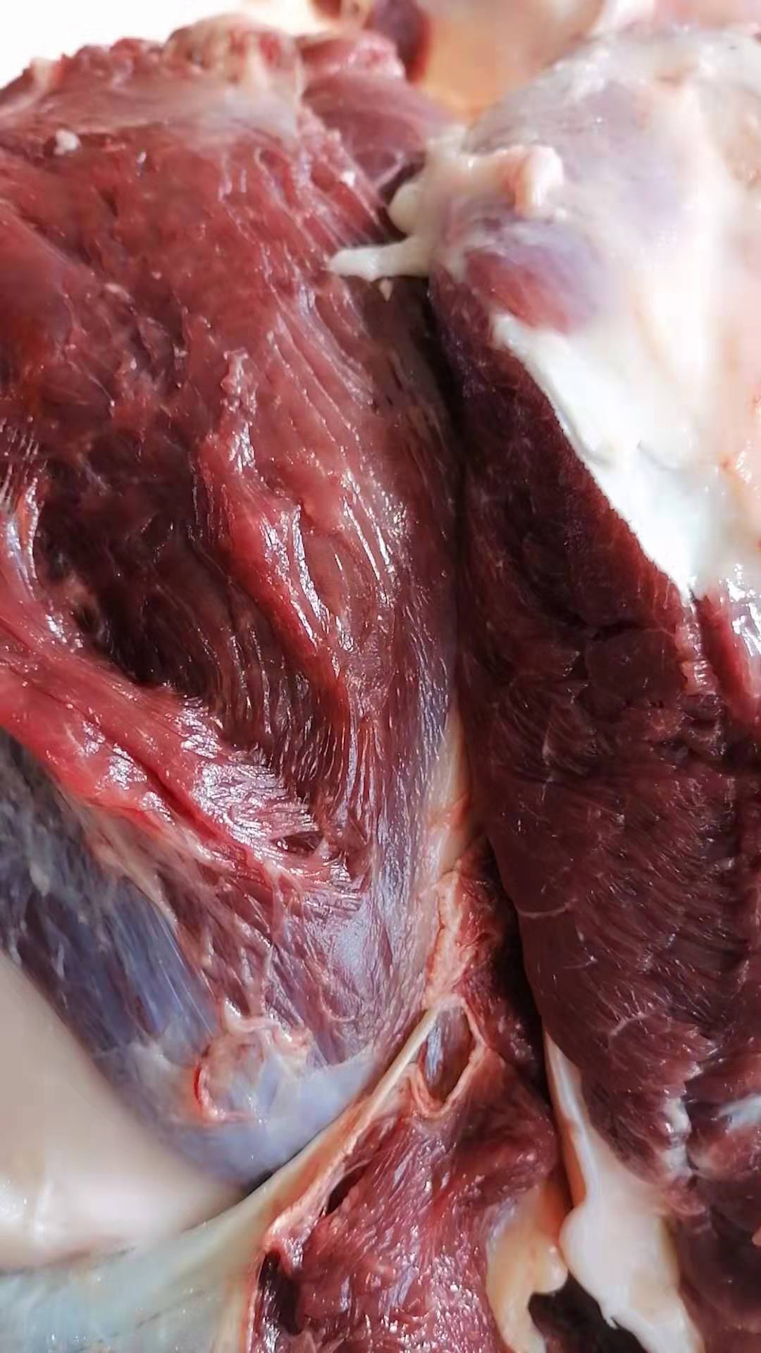 驴肉批发驴肉@鲜驴肉@鲜驴肉