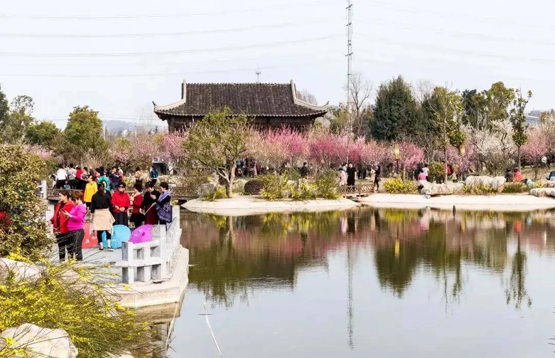 旨在打造 淮海经济区规模最大的樱花山体公园及樱花植物科普教育基地