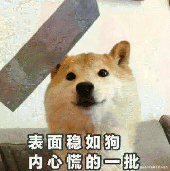 12386463637c4454888f3bcb9f1cb85c.jpeg