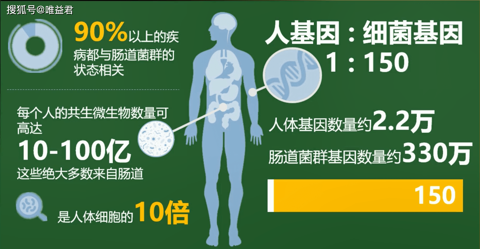 肠道是人体最大的微生态系统和免疫器官,肠道中的微生物总数约占人体