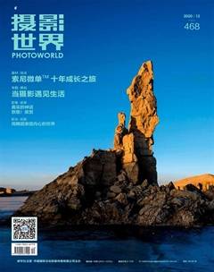 摄影世界杂志订阅2020年12期杂志目录