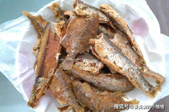 鳑鲏鱼最大多重 2cec2b8edd6d43619020502660d3c665.jpeg