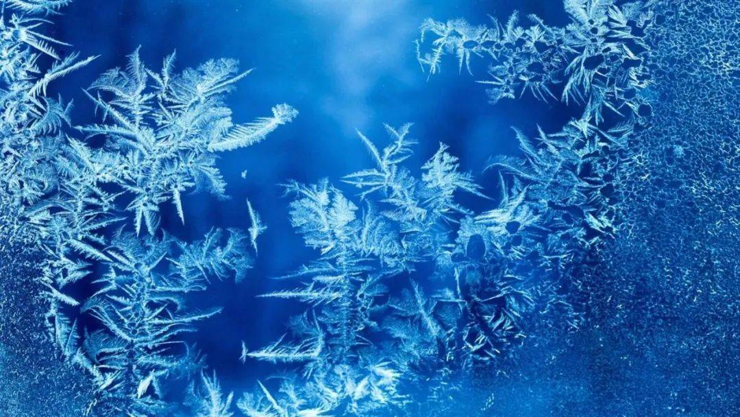 诗词鉴赏开在古诗词里的冰花感悟凛冽的冬天的诗意与美好