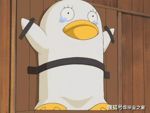 6960da784ee347fbb44dcdab60aa9b7c.png