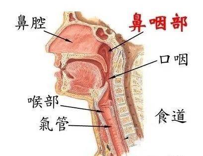 5招教你缓解这些症状!_食管