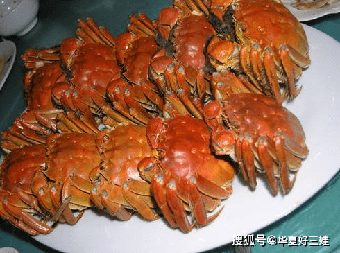 f15ad6fa390e4ac897a78ed640c731c0.png