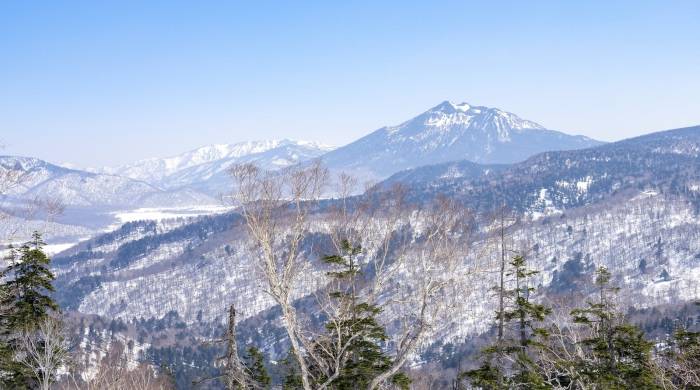 电商不是实体店的死对头，竞争最终是利好线下家电经销商！-家电圈官网