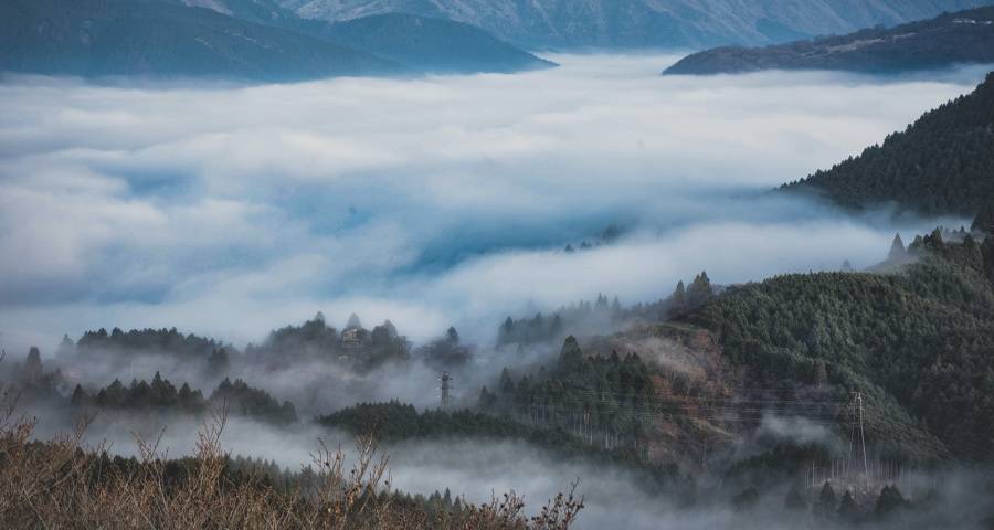 多品牌全品类智能化成家电业竞争新标配-家电圈官网