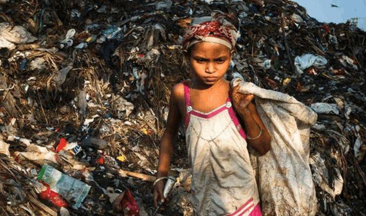 印度最大的垃圾场，这里的鸟有半人高，人们宁愿饿肚子也不伤害鸟