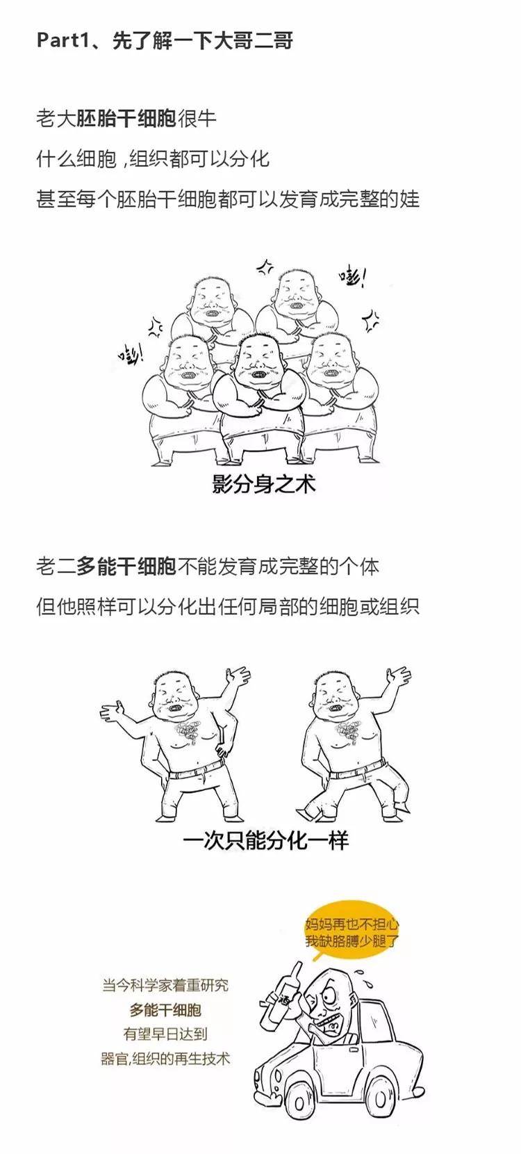 6c7b2fad1e66417f887d4b2ad4c78d9d.jpeg