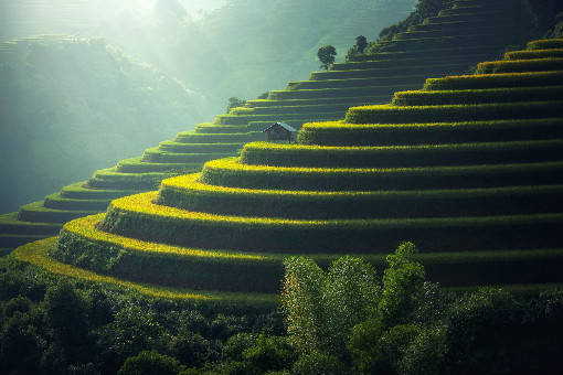 山东昌邑gdp排名_山东昌邑地图