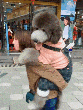 266_350 竖版 竖屏