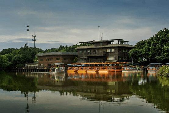 广州最大的湿地公园，与大海相接融为一体，景色犹如绿野仙境