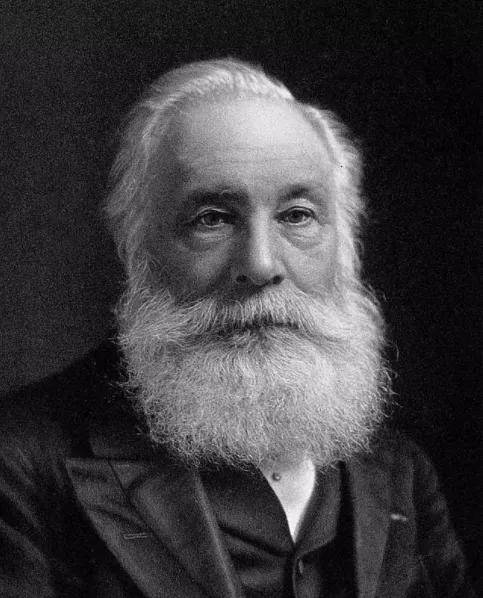 b4e29bf1875d469e924a912a2e64653c.jpeg