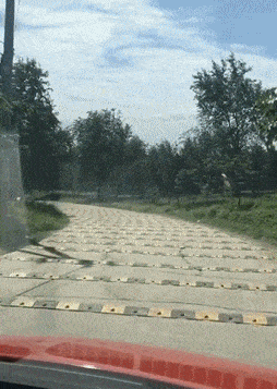 搞笑gif段子:这团建活动真好,哥们你是故意的吧.