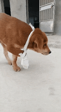 搞笑gif段子:我说了,我只要一勺,只不过勺子有点大而已