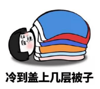 是选择进入冬眠模式 在床上裹紧小被子 贪享被窝里的余温 追剧煲几通