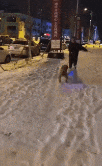 搞笑gif段子:这样的老婆竟然下厨做饭,我怎么舍得_妹子