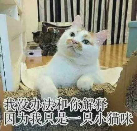 ced74e82bfcd46babf63e9cff89c54cf.jpeg