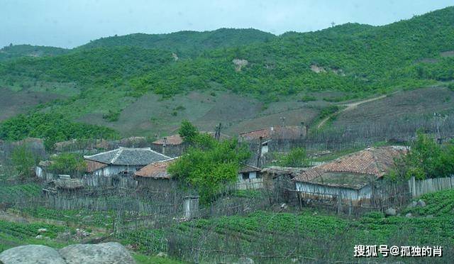 农村新生人口住房_新生人口统计表