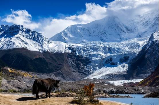 西藏最具争议的景区，游客所见风景都不相同，最大特色变污水池