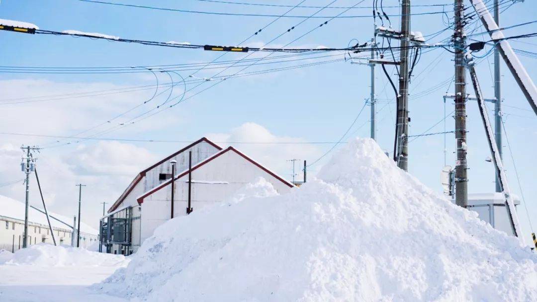 等一个人，陪我去北海道看雪