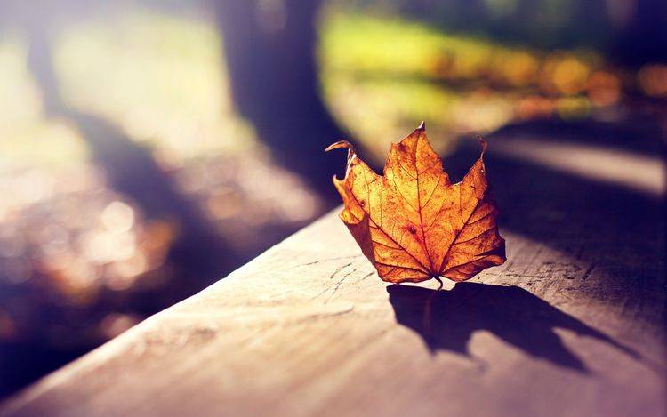 如何让自己心平静 971a752e221345ccb75d21970d1896f6.jpeg