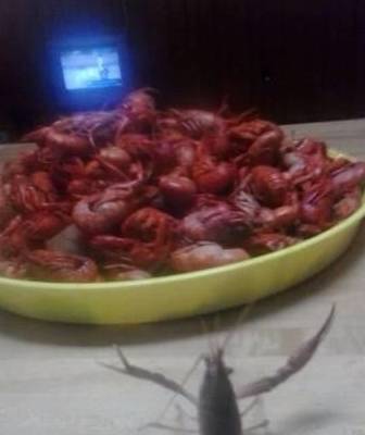 虾猜一成语_一图一成语猜答案大全(3)