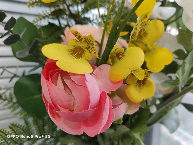 索尼|定制索尼 IMX766 表现如何？OPPO Reno5 Pro + 相机体验