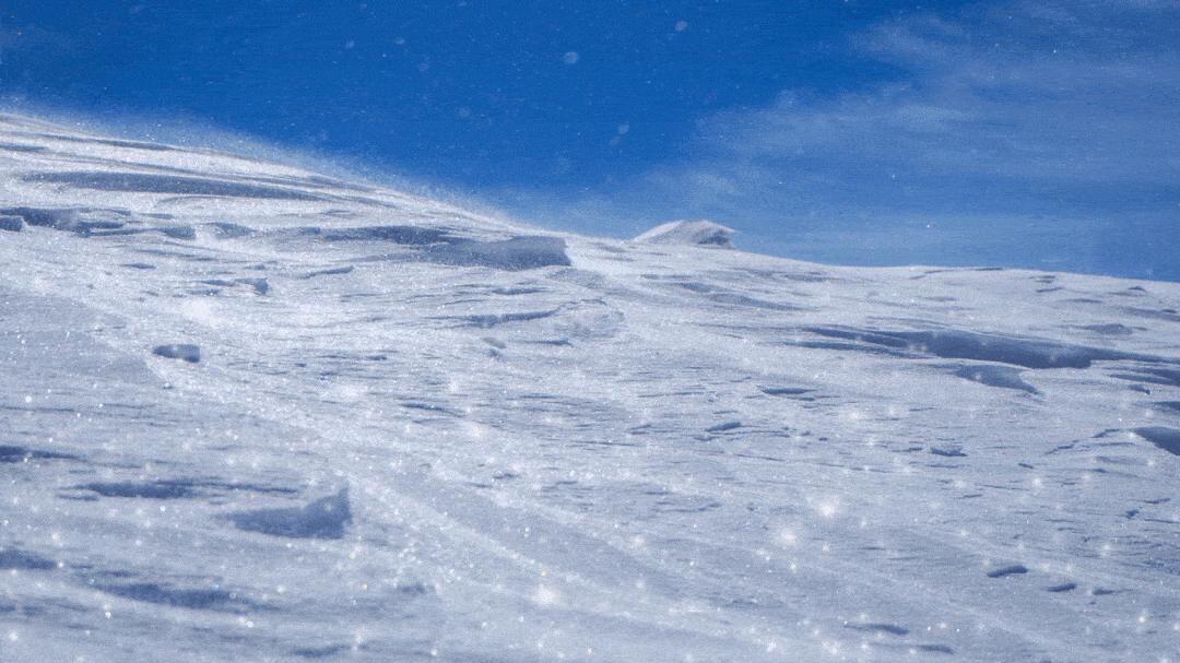 (内含一组超可爱动图~)