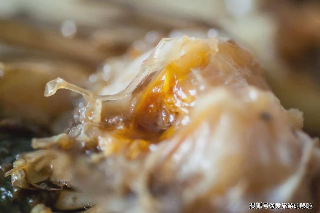 江苏又开美食新高铁!催了好久的寻味攻略快来收藏