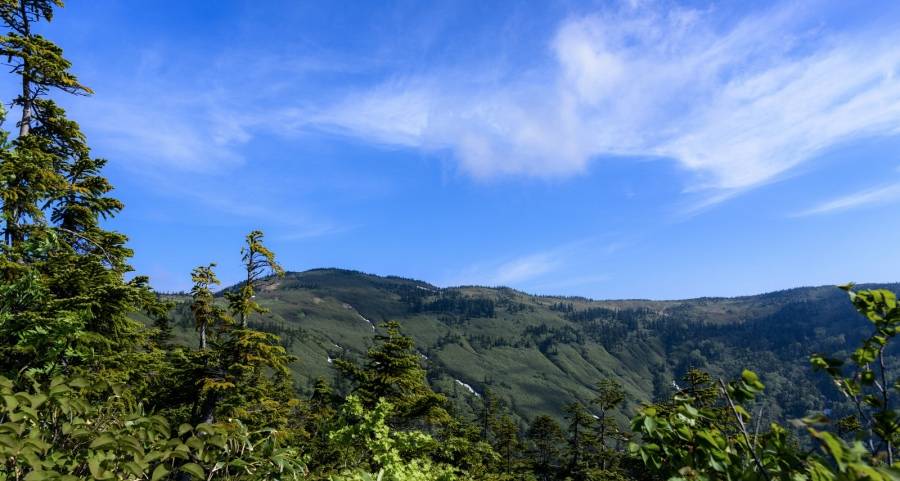 产业链正成家电企业竞争的新分水岭-家电圈官网