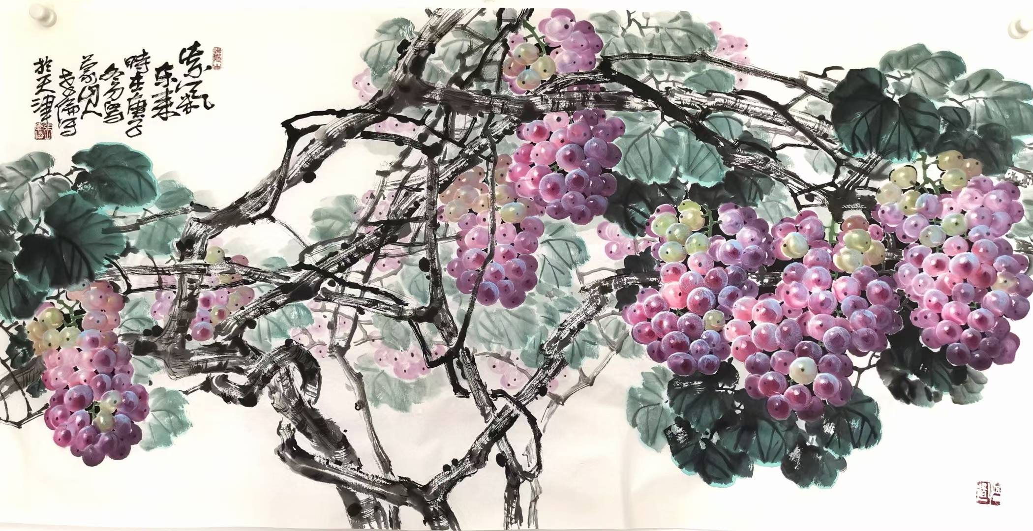 原创葡萄画家张孝伦作品欣赏