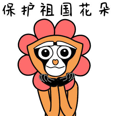 投票/动态作品 | 2020