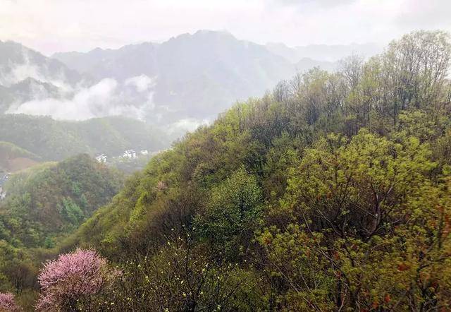 洛阳老君山春已至冬未尽，清明节遇见春天里的雪域王国