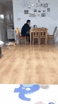 搞笑gif段子:亲爸带娃就是这么坑啊,孩子都学会自力更