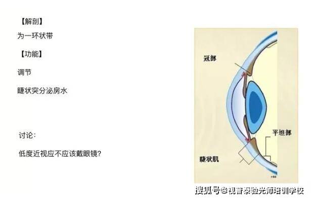大脑中大约有80%的知识和记忆都是通过眼睛获取的.