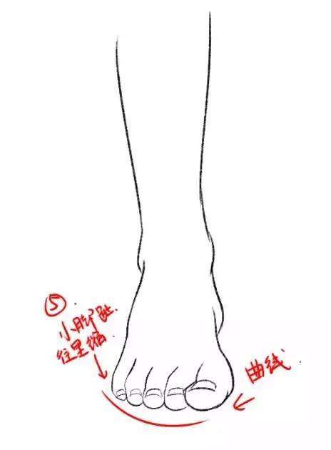板绘|人物脚部结构参考绘画